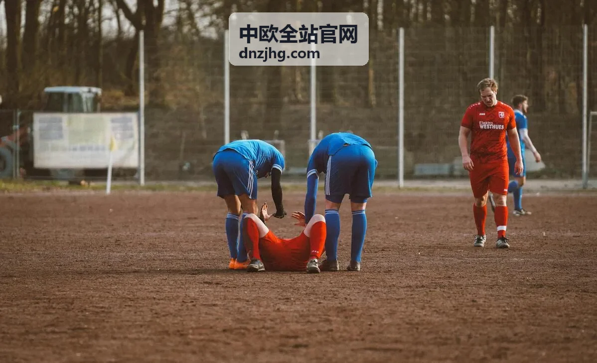中欧全站官网班列整柜装箱作业现场